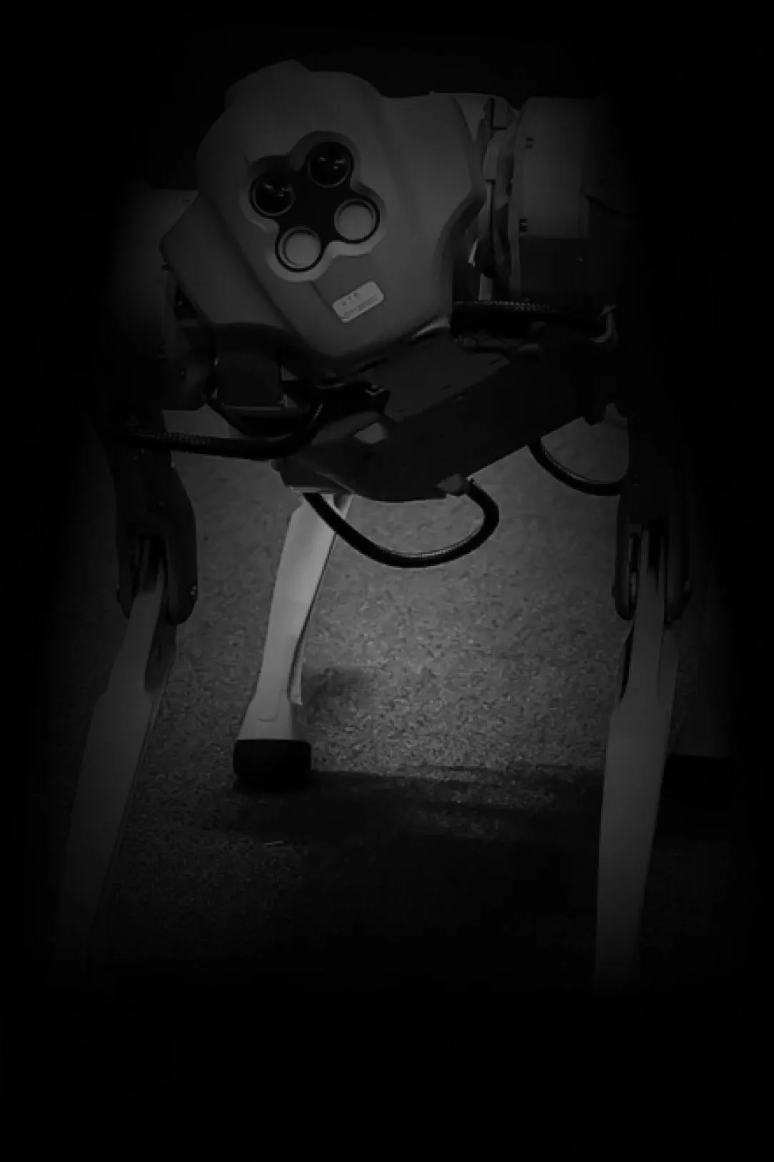 Валентина Go1