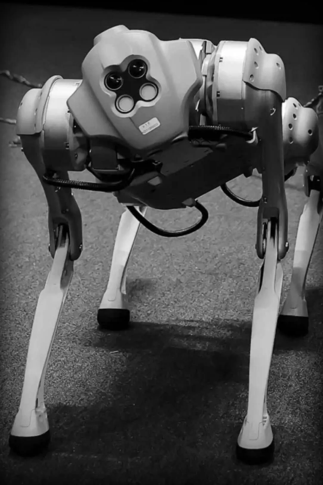 Валентина Go1